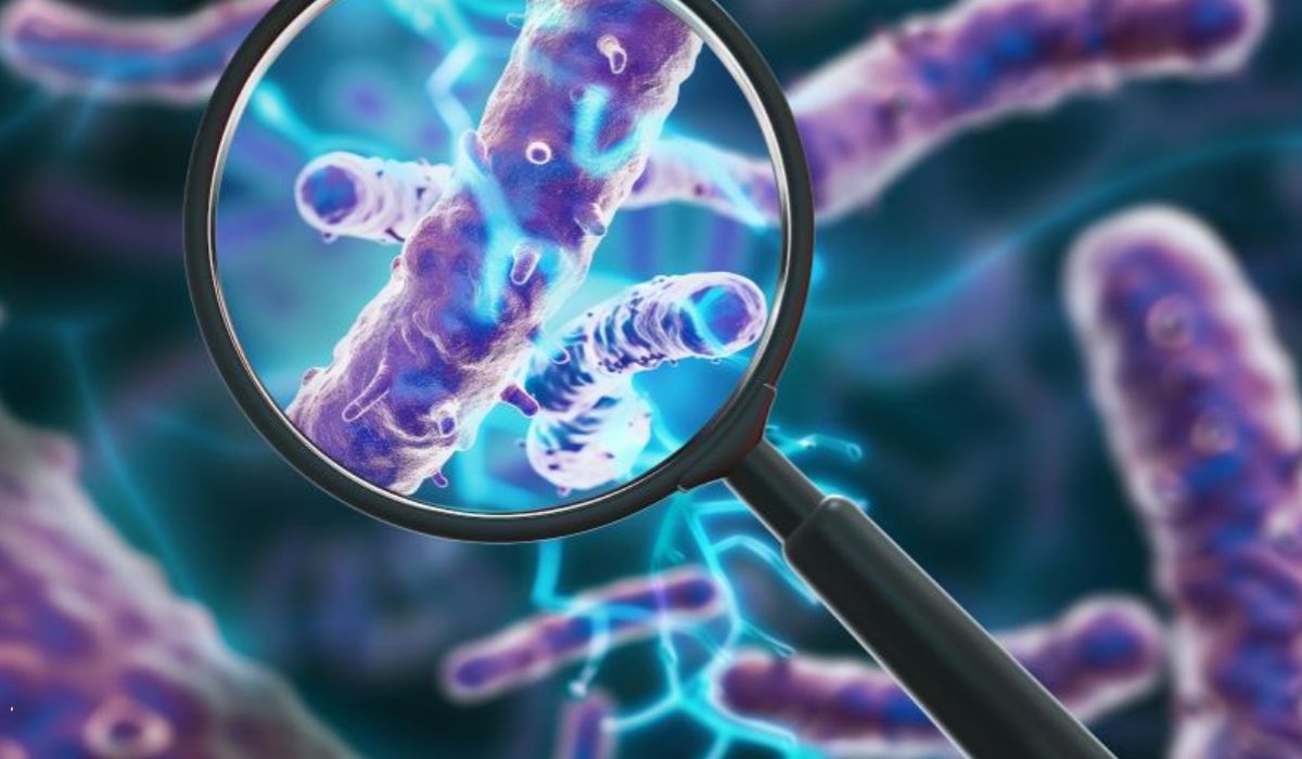 요로결석, 재발률이 높은 이유 4